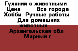 Гуляний с животными › Цена ­ 70 - Все города Хобби. Ручные работы » Для домашних животных   . Архангельская обл.,Мирный г.